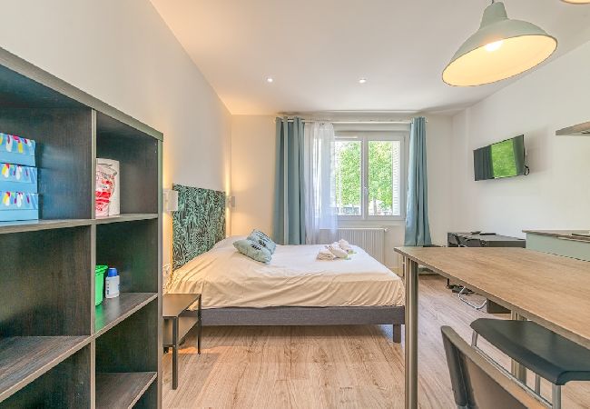 Studio in Grenoble - Cozy nest, fully equipped, free wifi  Studio in Grenoble - Cozy nest, fully equipped, free wifi