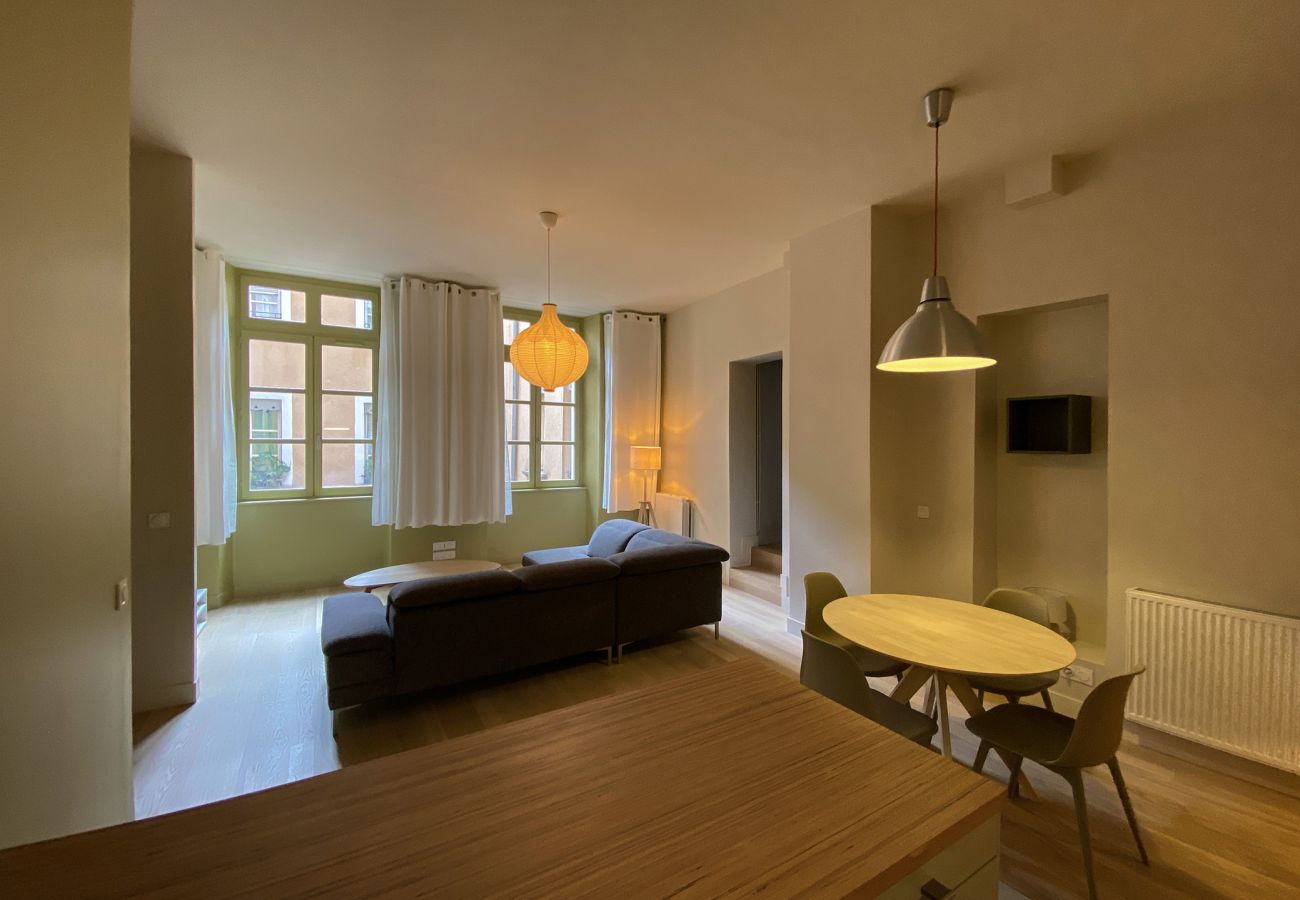 Apartment in Grenoble - CHENOISE 2