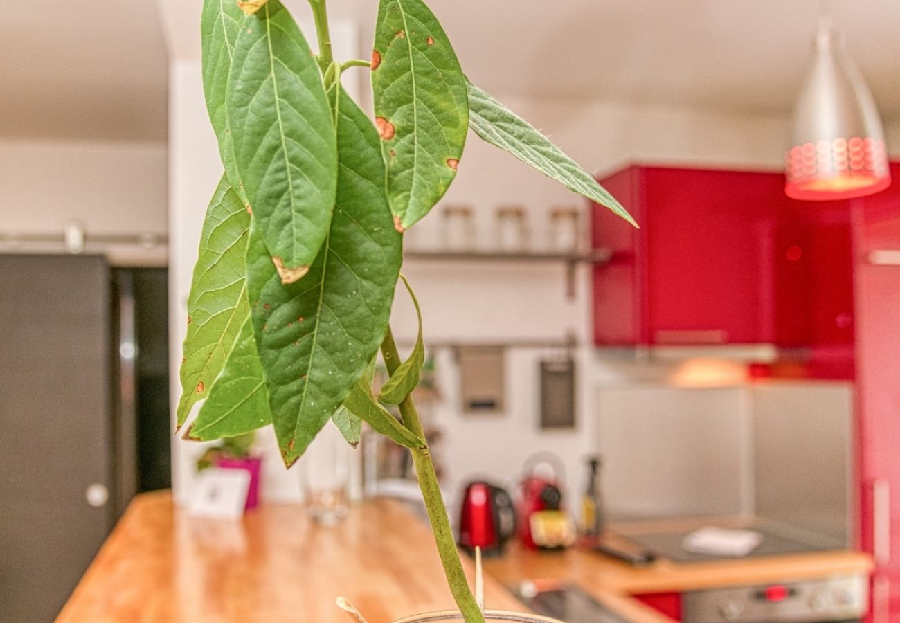 Appartement à Grenoble - 50m GEM - 400m Gare: garage privé, terrasse, wifi  Appartement à Grenoble - 50m GEM - 400m Gare: garage privé, terrasse, wifi