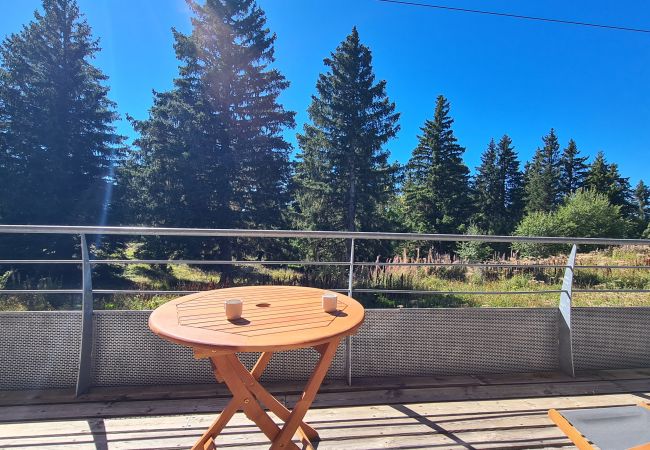 Appartement à Chamrousse - CHAMROUSSE-50m from ski lifts-2 bedrooms-balcony  Appartement à Chamrousse - CHAMROUSSE-50m from ski lifts-2 bedrooms-balcony