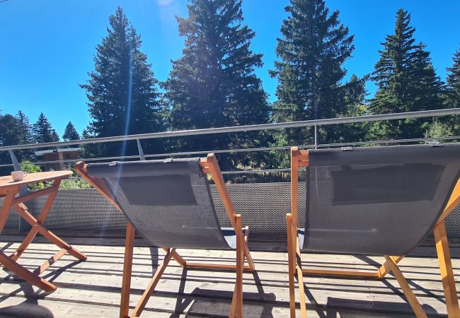 Appartement à Chamrousse - CHAMROUSSE-50m from ski lifts-2 bedrooms-balcony  Appartement à Chamrousse - CHAMROUSSE-50m from ski lifts-2 bedrooms-balcony