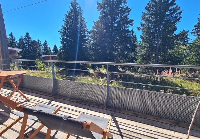 Appartement à Chamrousse - CHAMROUSSE-50m from ski lifts-2 bedrooms-balcony  Appartement à Chamrousse - CHAMROUSSE-50m from ski lifts-2 bedrooms-balcony